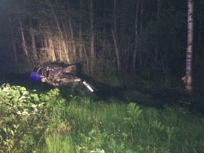 В Тверской области водитель и пассажир легковушки пострадали после столкновения с лосем