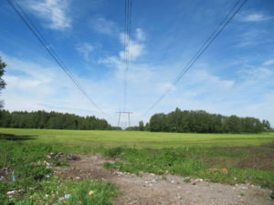 В Тверской области ликвидировали 11 несанкционированных свалок