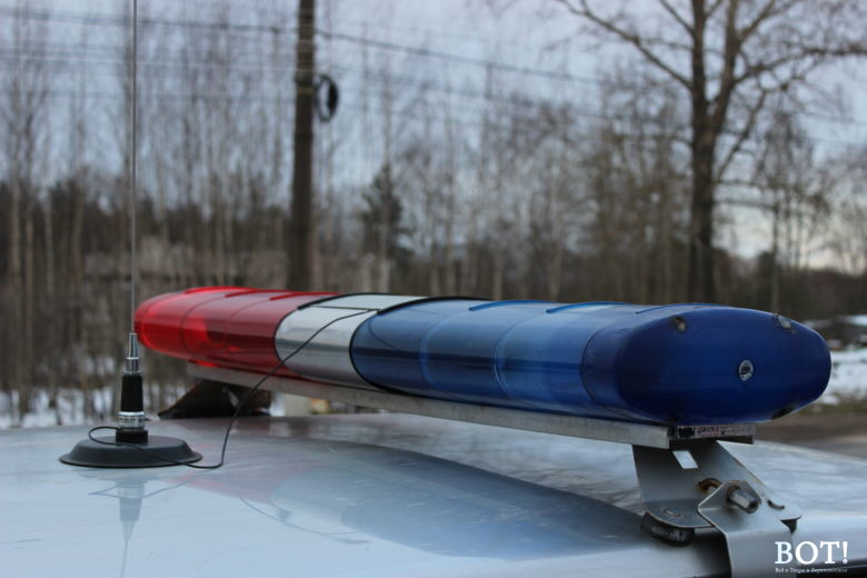 В Торопце водитель автомобиля сбил на пешеходном переходе девочку и уехал с места ДТП