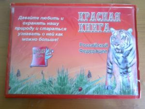 Юных жителей Тверской области приглашают принять участие в проекте «Красная книга руками детей»
