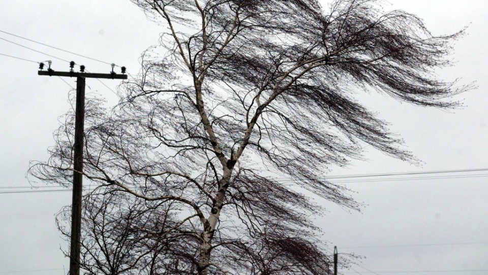 Синоптики предупреждают о сильном ветре и снеге с дождем в Тверской области