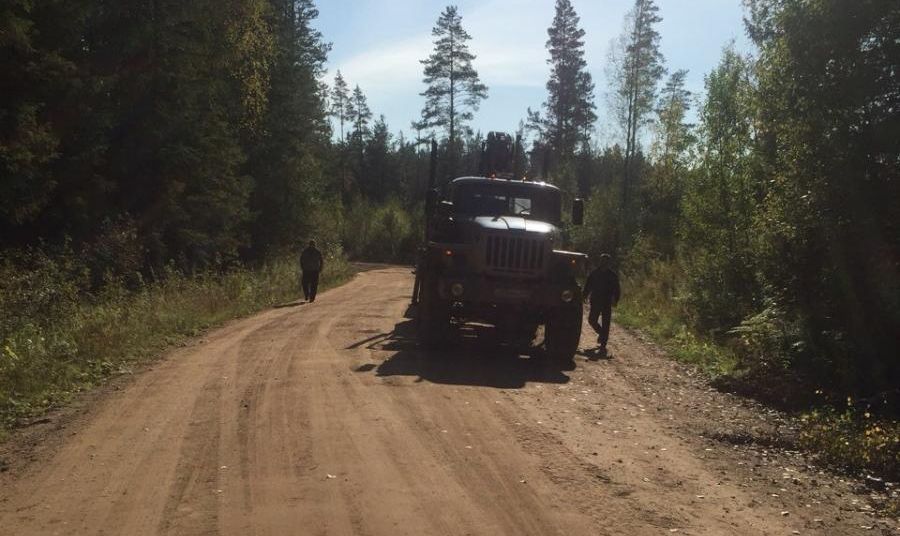В Тверской области мотоциклист погиб в столкновении с лесовозом