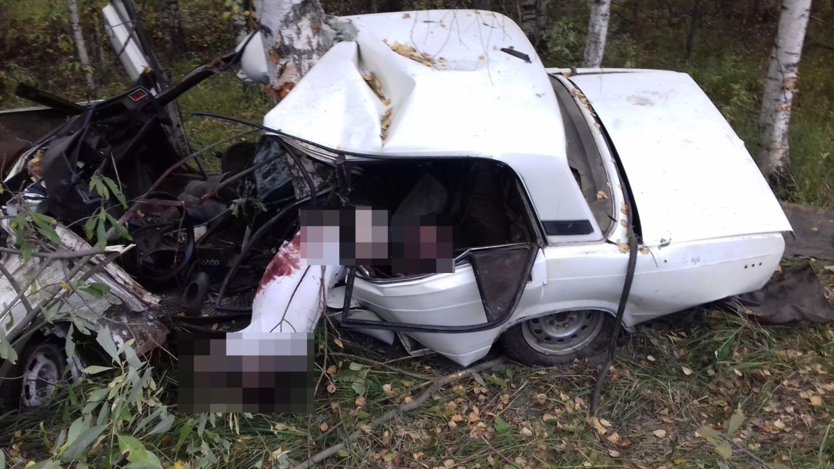 В Тверской области легковушка вылетела в кювет, погиб водитель
