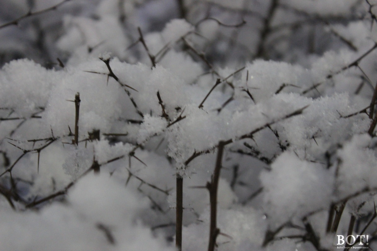 На Тверскую область идет снегопад