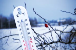 МЧС предупреждает жителей Тверской области о сильном морозе