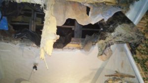 СК проводит проверку по факту обрушения потолка в квартире одного из домов в Кимрах