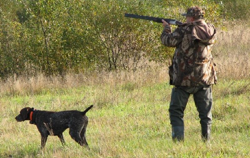 В индустрию туризма Тверской области планируется вовлечь охотничьи хозяйства