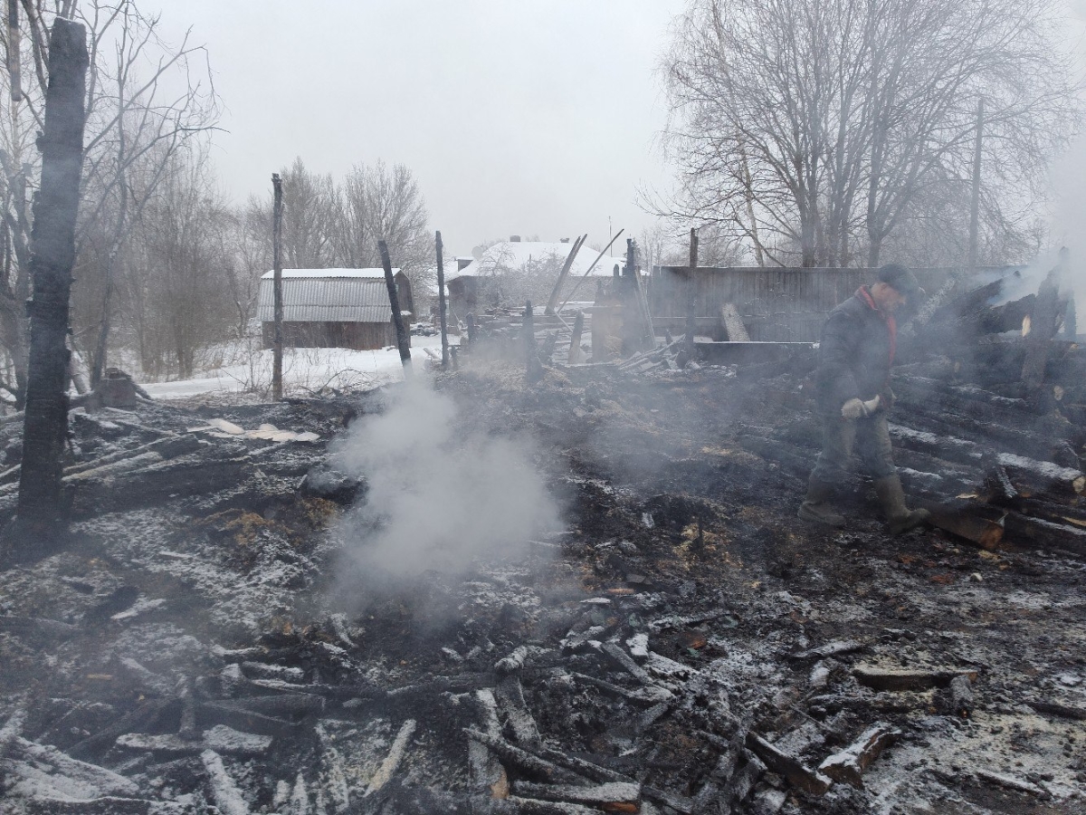 В Тверской области сгорела уникальная мастерская по изготовлению гуслей