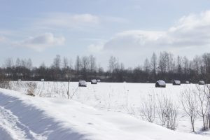 Ночью в Тверской области ожидается 35-градусный мороз