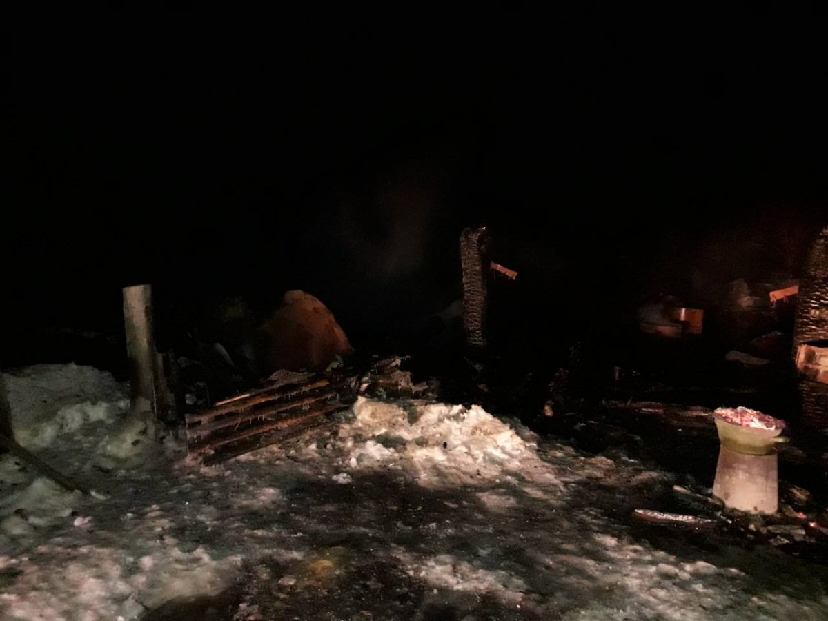 Пожар в Кашинском районе унес жизни двух людей