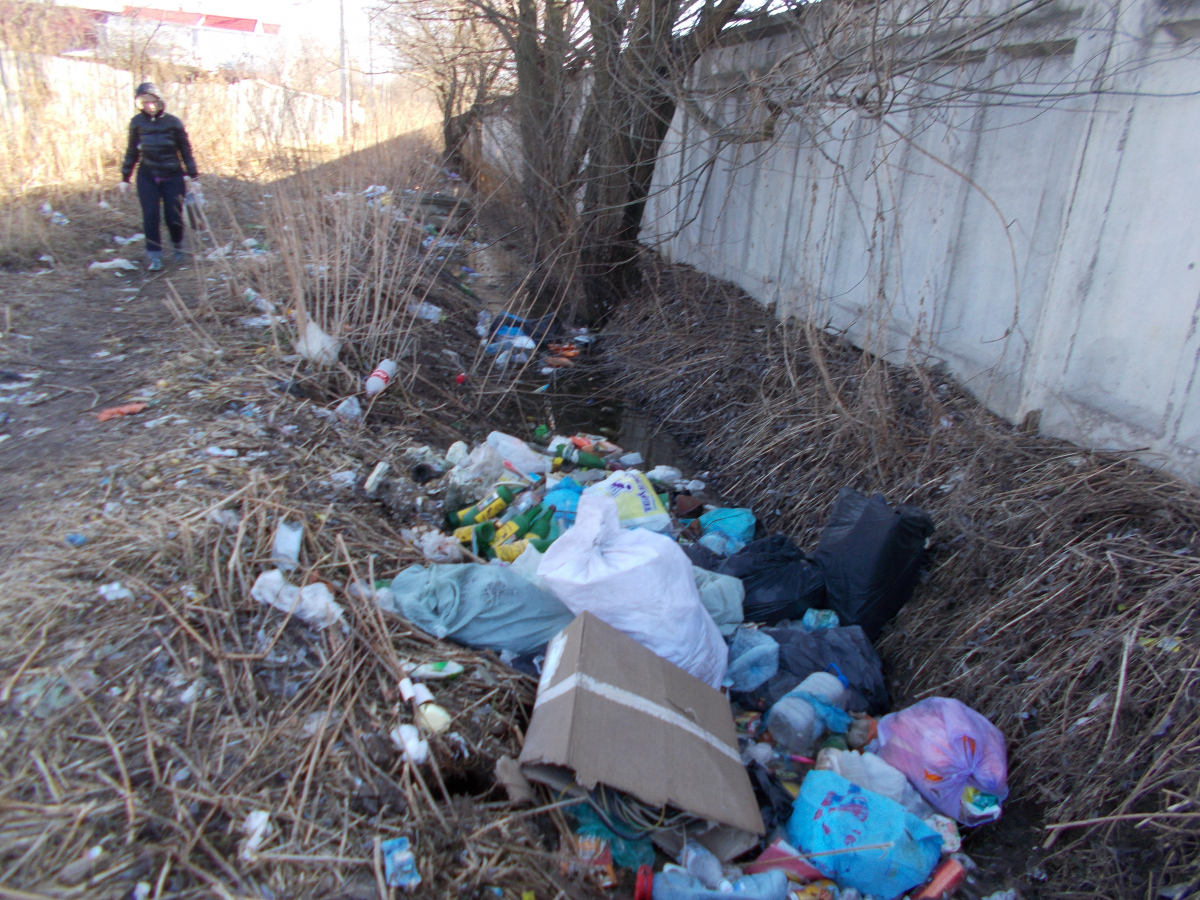 В Твери МУП «ТСАХ» займется вывозом несанкционированных мусорных свалок