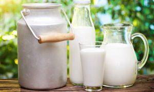 Белорусское молоко заменят российским