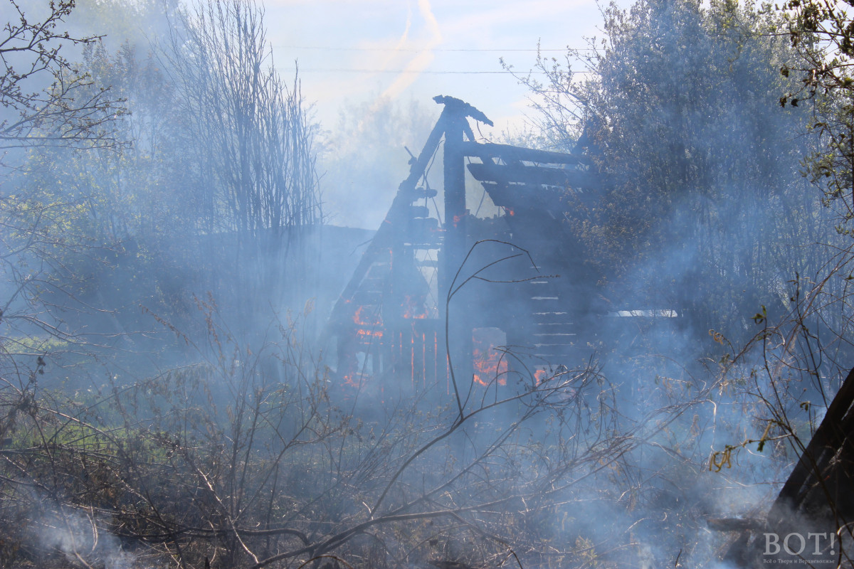 В Твери в поселке Химинститута тушат пожар на площади в два гектара. Видео