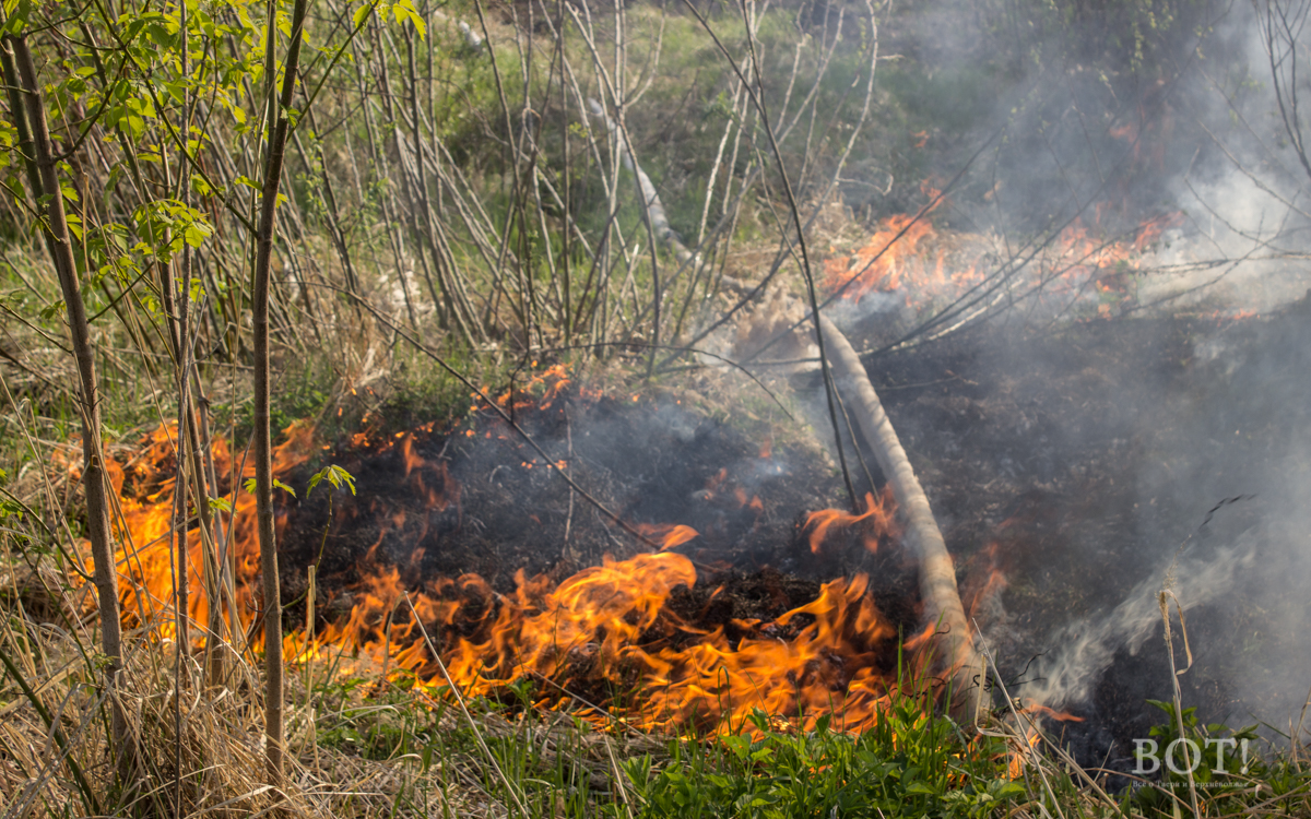 В Тверской области продолжаются лесные пожары