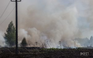 Пожар на поле в поселке Химинститута в Твери тушили почти пять часов