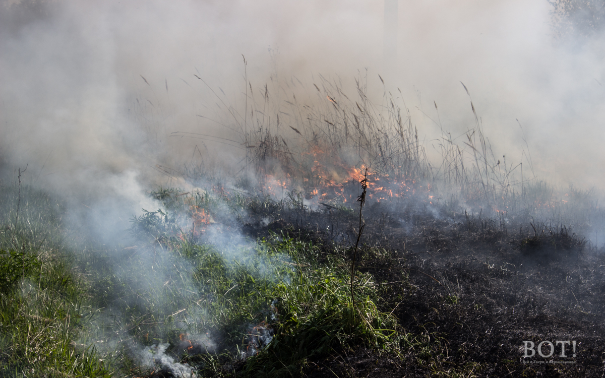 В Тверской области МЧС усиливает профилактическую работу с населением по недопущению сжигания сухой травы и мусора