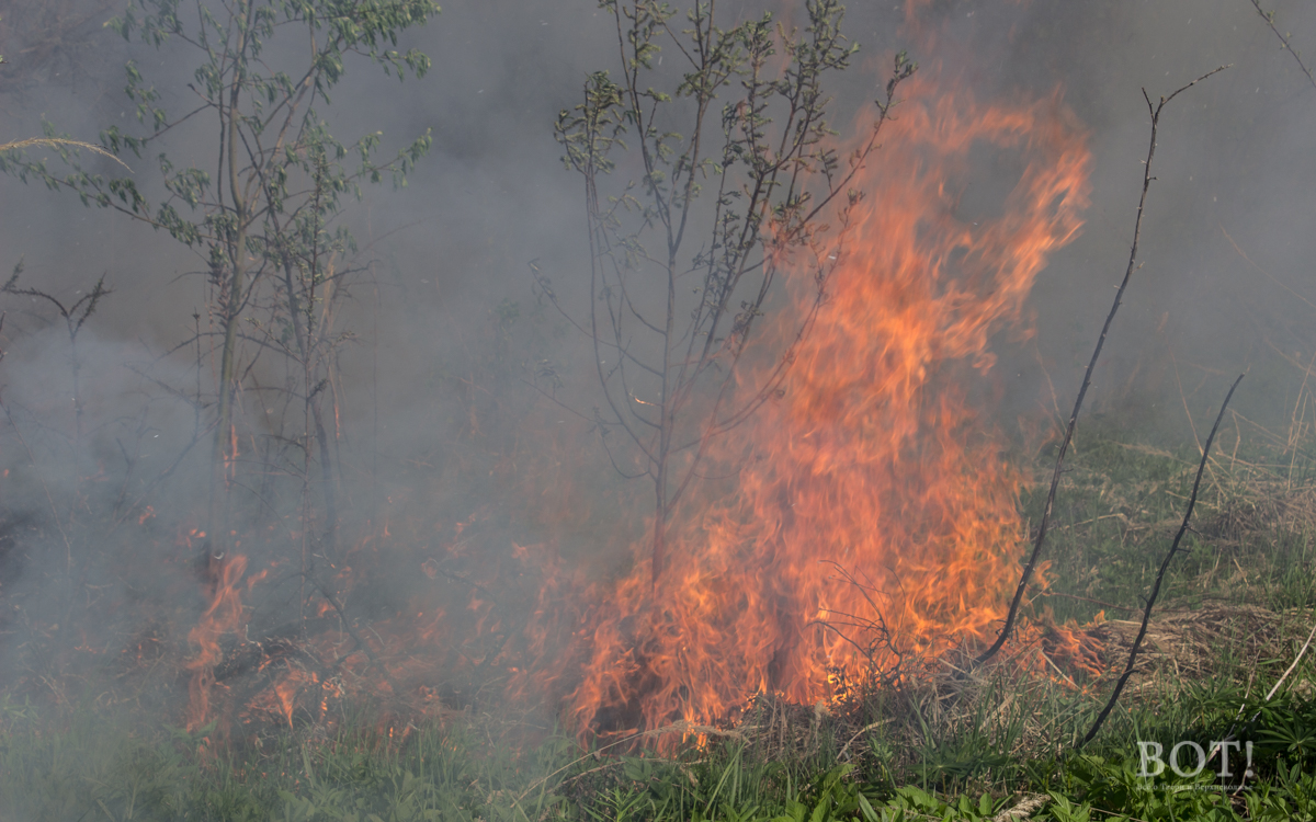 В Тверской области объявлен высокий уровень пожарной опасности
