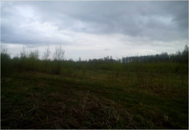 Сотрудники ГУ МЧС России по Тверской области провели мониторинг лесов и торфяников региона