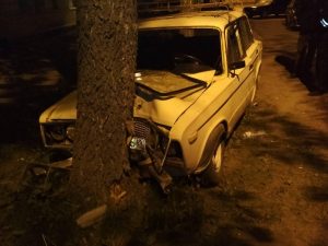 В Ржеве пьяный водитель влетел в дерево