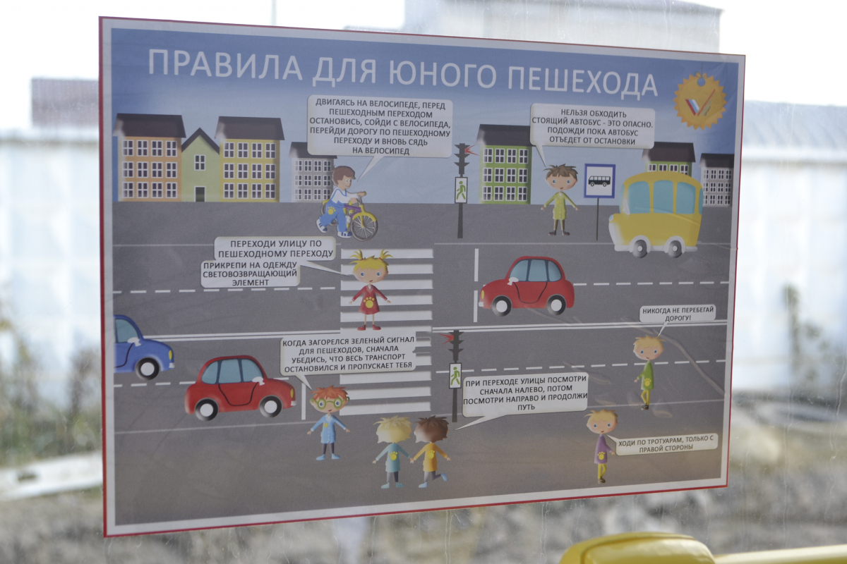 Активисты ОНФ призвали школьников Тверской области быть осторожнее на дорогах