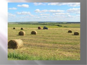 В Тверской области рассказали о поддержке аграриев