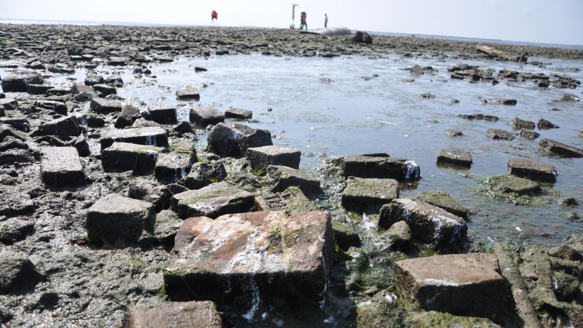 Молога затопленный город фото под водой сейчас