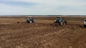 В 2018 году в Тверской области произведено 4,3 тысячи тонн льноволокна