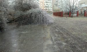 Жителей Тверской области предупредили о шторме и ледяном дожде