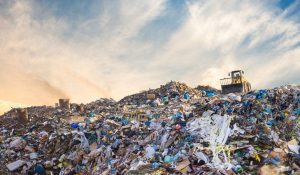 Активисты ОНФ открывают проект «Генеральная уборка» для борьбы с мусорным коллапсом