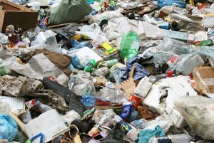 Активисты ОНФ решают мусорную проблему  в Тверской области