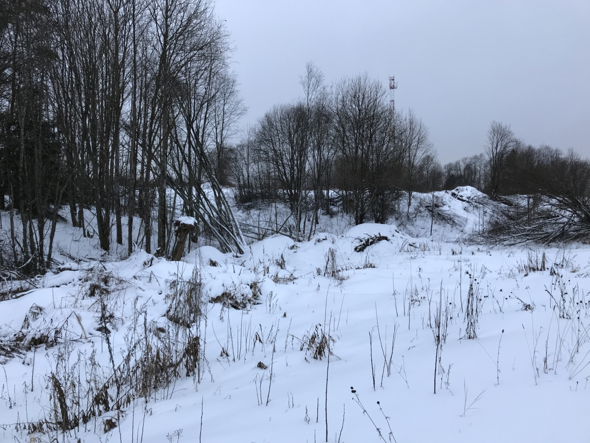 Жителя Тверской области дважды оштрафовали за выкопанный на его же земле карьер