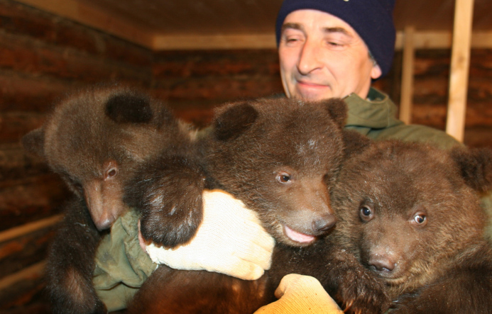 Центр спасения медвежат-сирот в Тверской области получит поддержку правительства