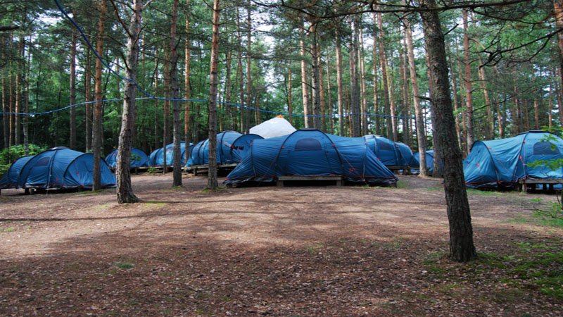 Школьники Тверской области смогут провести каникулы в летних лагерях с палатками