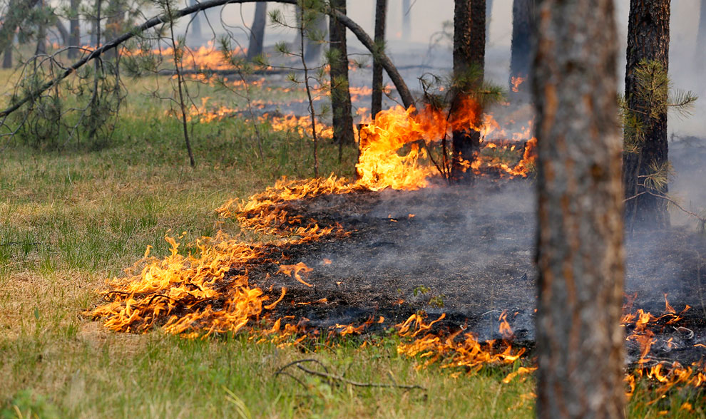 Жителей Тверской области вновь предупреждают о пожароопасной обстановке