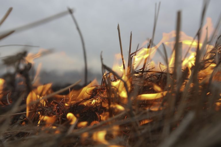 Жителей Твери штрафуют за сжигание травы и мусора