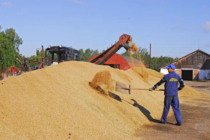 Жители села могут претендовать на надбавку к пенсии в 25%