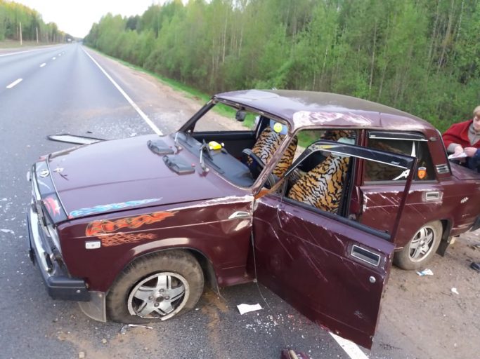 В Тверской области водитель попал в ДТП, объезжая лося