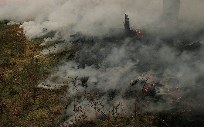 Недалеко от дачного поселка на окраине Твери загорелся торф
