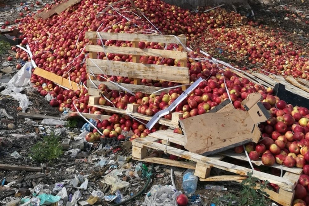 В Тверской области уничтожили более 45 тонн санкционной продукции
