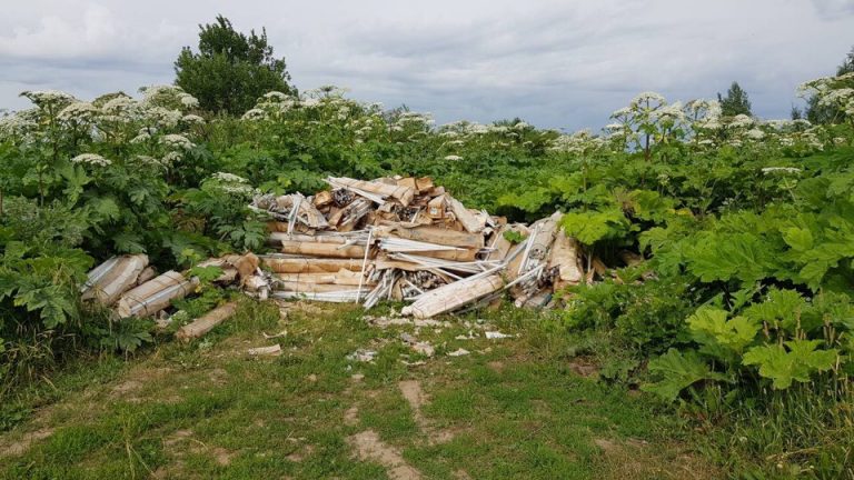 Свалку ртутных ламп ликвидировали в Тверской области