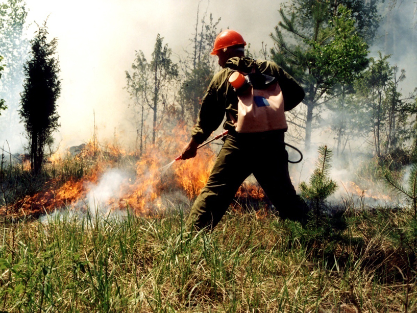 В Тверской области определили лучшего лесного пожарного
