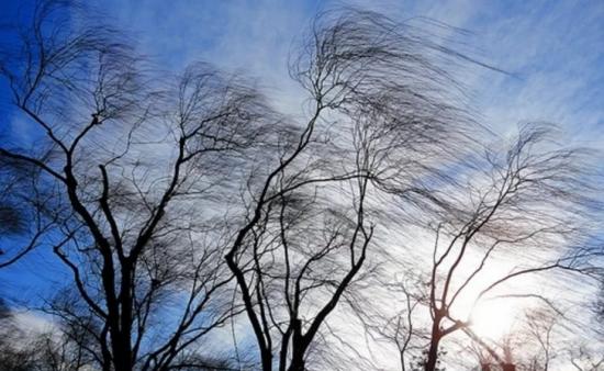 В Тверской области ожидается усиление ветра