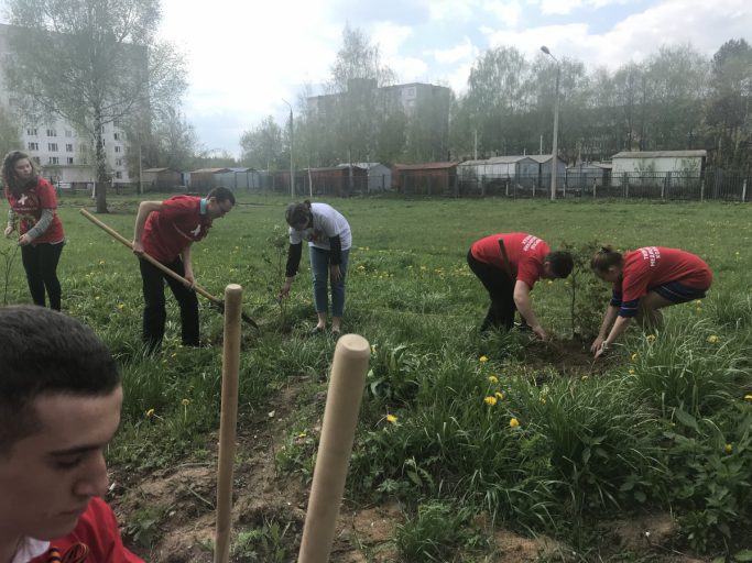 Тверских волонтёров-экологов приглашают на Всероссийский конкурс