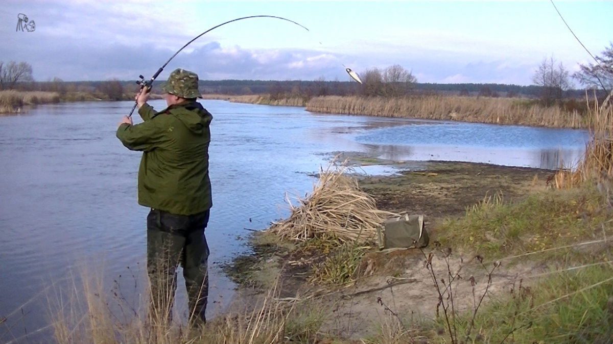В Бежецком районе Тверской области прошёл фестиваль по ловле рыбы
