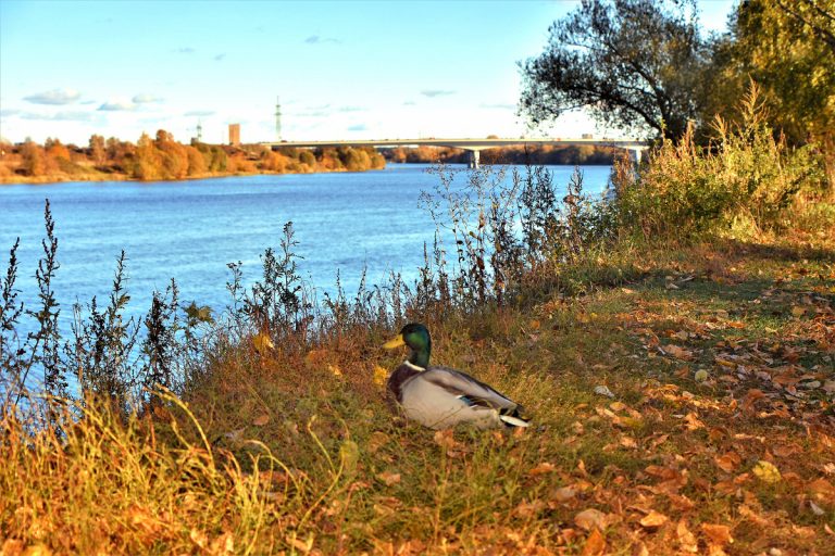 У Тверской области есть шанс претендовать на чистку рек и озёр