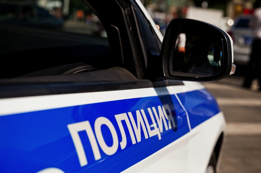 В Тверской области полицейские задержали воров с поличным