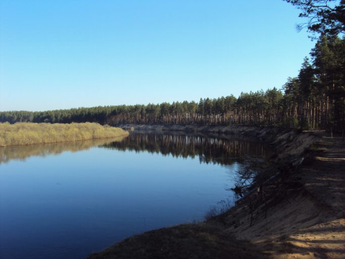 В Тверской области водолазы проверяют водоемы перед началом летнего сезона