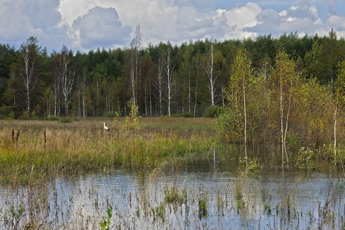В Тверской области утверждены границы трех особо охраняемых территорий