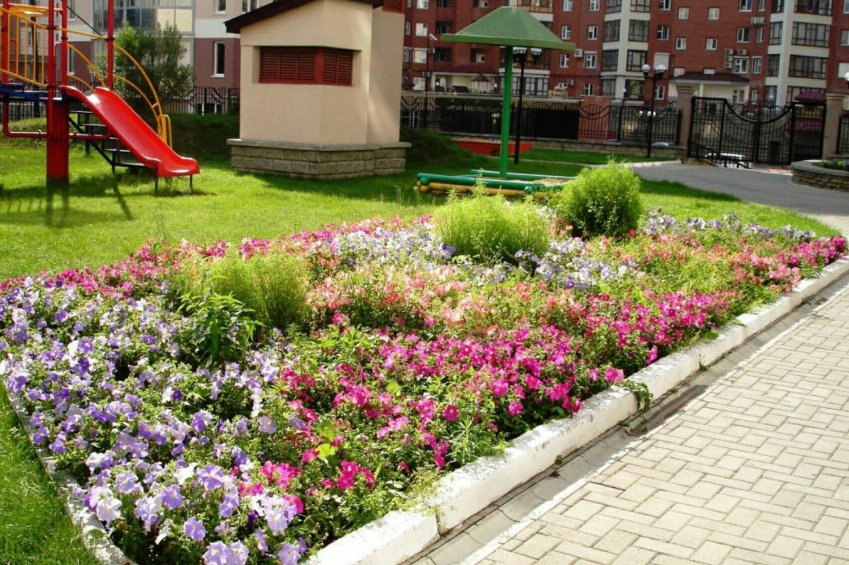 Акцию «Зеленая весна» в Тверской области продлили до сентября