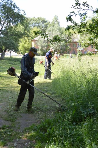 В Твери идут работы по озеленению города